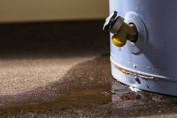 Best 24-hour water damage restoration  in Mccleary, WA