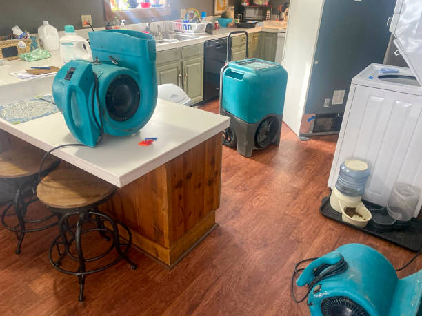 Best Carpet water damage restoration  in Mccleary, WA