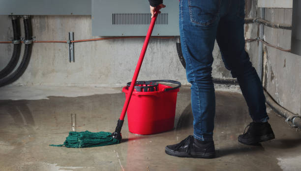 Best Water damage cleanup near me  in Mccleary, WA