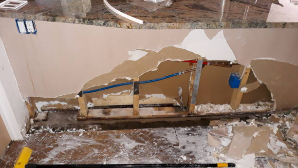 Best Professional water damage repair  in Mccleary, WA