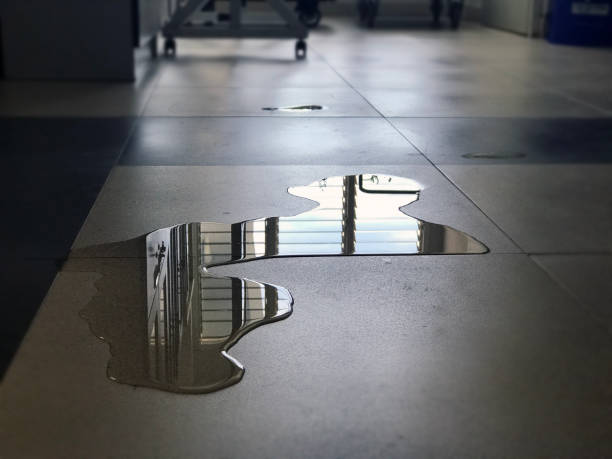 Best Water damage restoration near me  in Mccleary, WA