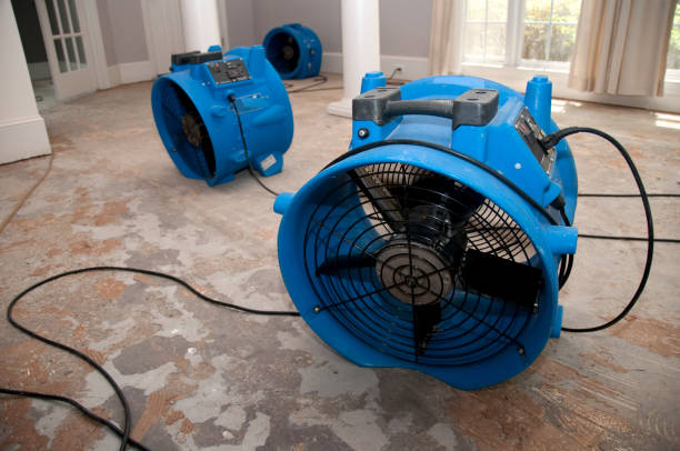  Mccleary, WA Water damage restoration Pros